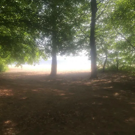 شقة Elegance Gdynia