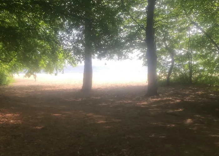 شقة Elegance Gdynia