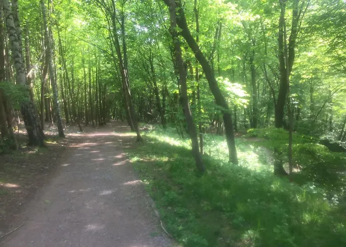 Elegance Gdynia * سوبوت