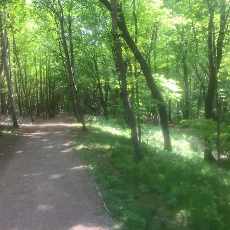 Elegance Gdynia * Sopot